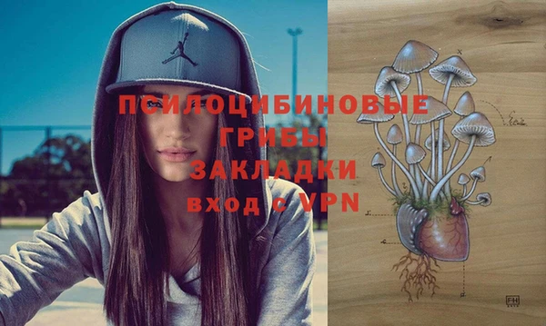 соль ск Зеленокумск