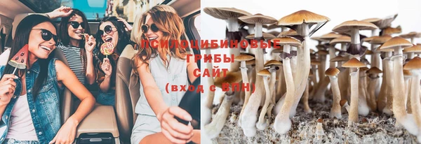 соль ск Зеленокумск