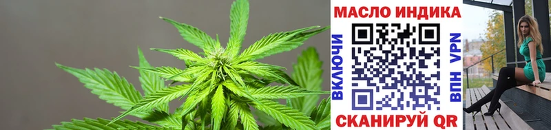 Купить  Борзя  Дистиллят ТГК гашишное масло 